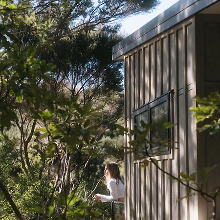 Treehouse Hideaway At Rekindle Tree Houses Opua المظهر الخارجي الصورة