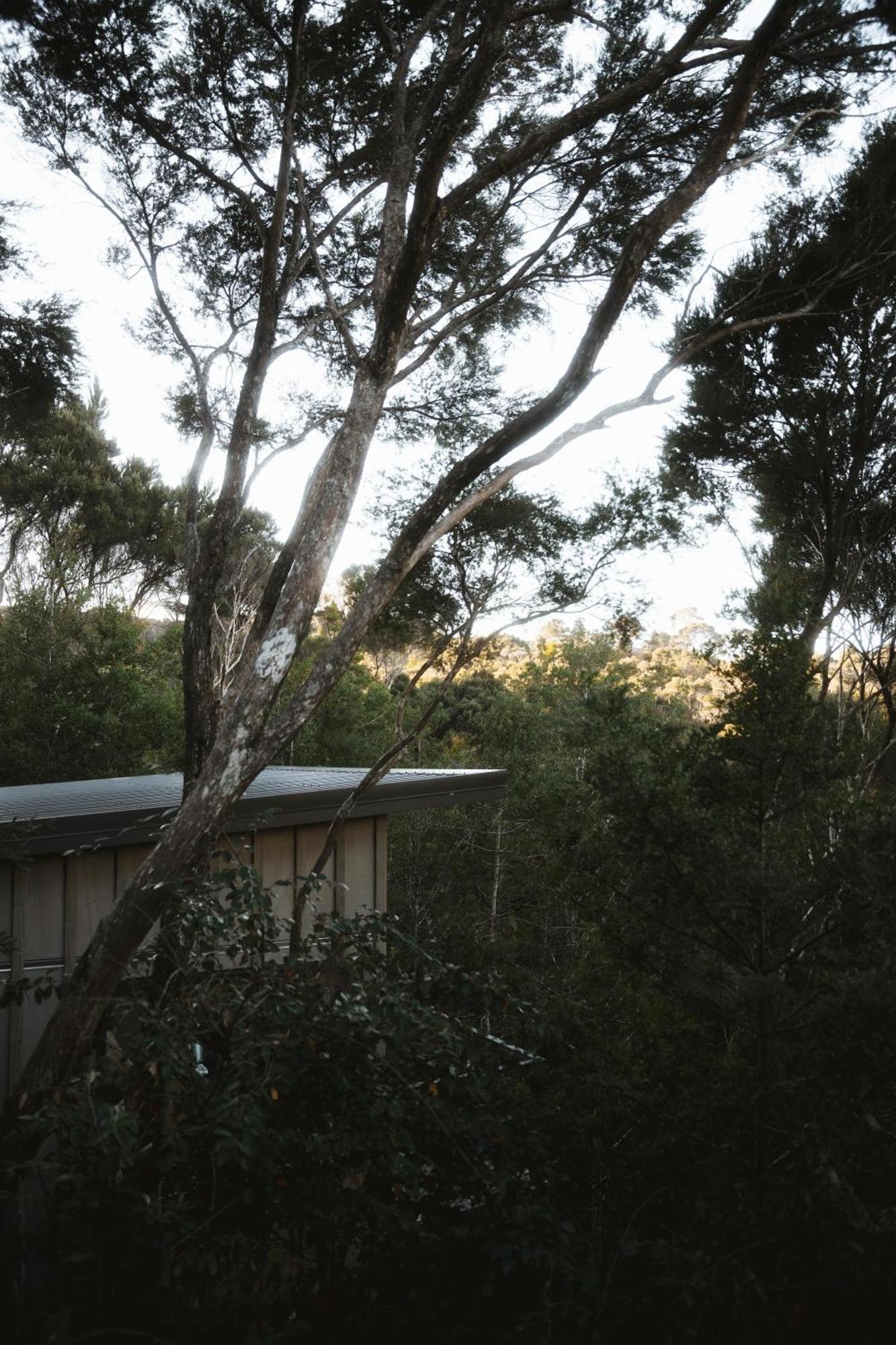 Treehouse Hideaway At Rekindle Tree Houses Opua المظهر الخارجي الصورة